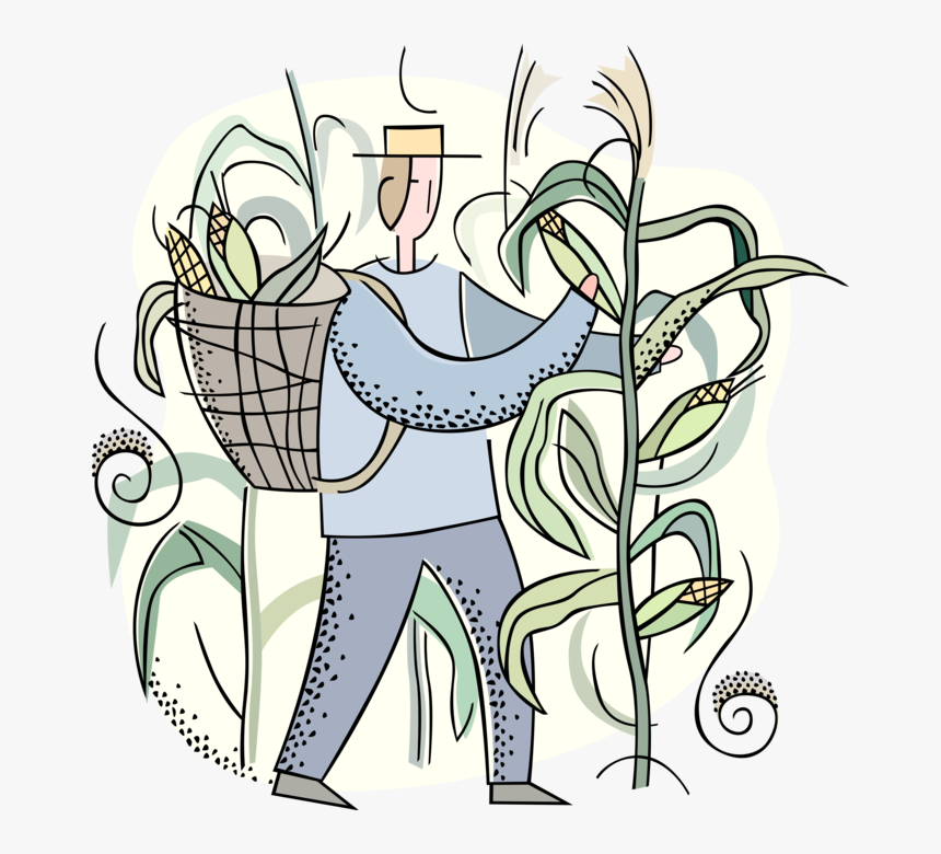 Transparent Corn Vector Png - Cartoon, Png Download