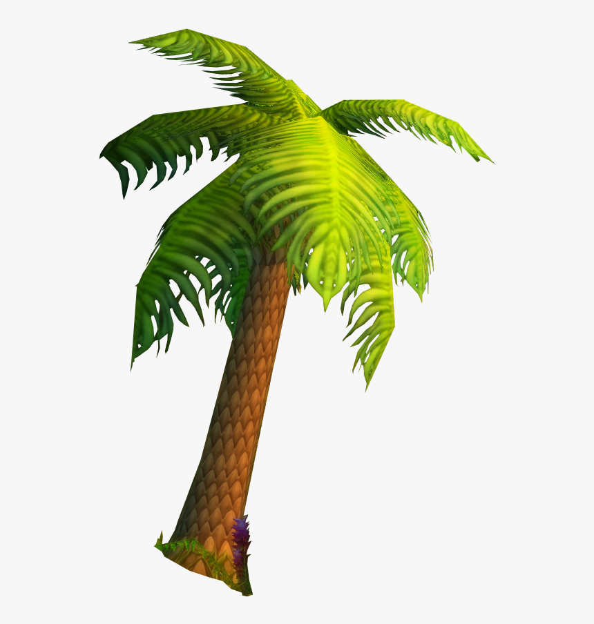 Stranglethorn Vale-palm Tree - Roystonea, HD Png Download