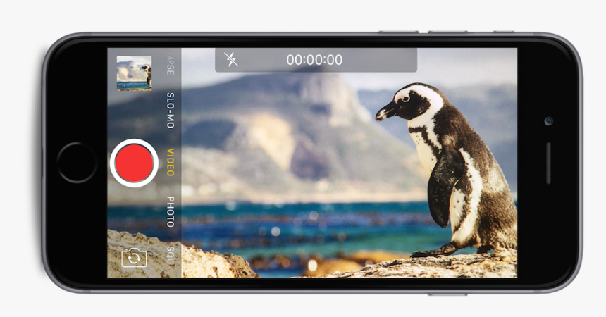 Boulders Beach, HD Png Download