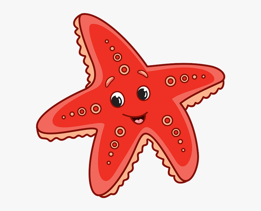 Starfish, HD Png Download