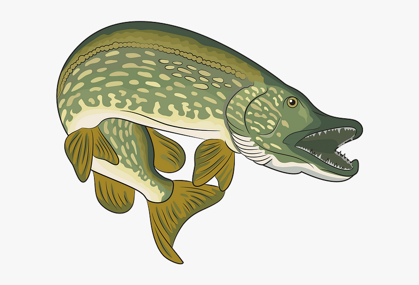 Illustration, HD Png Download