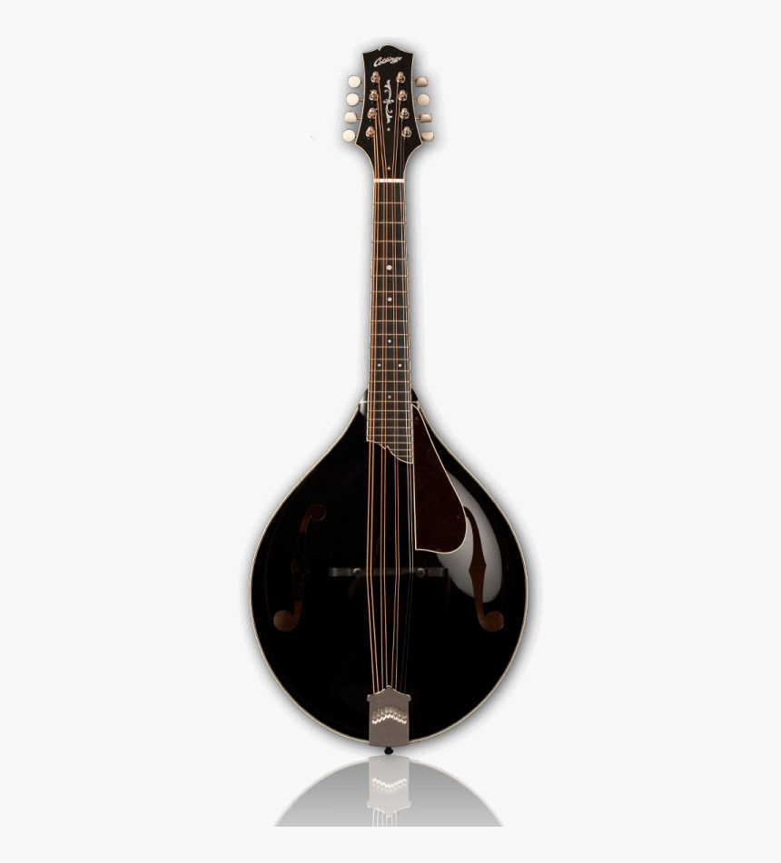 Collings Mt2 Mandola - Collings Mandolin Black Mt2, HD Png Download
