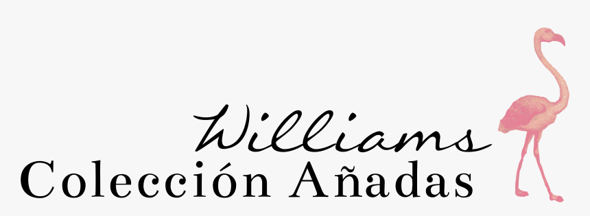 Transparent Confeti Y Serpentinas Sin Fondo Png - Calligraphy, Png Download