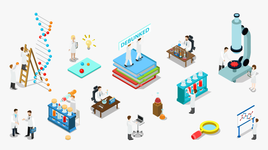 Myth And Misconceptions Infographic, HD Png Download