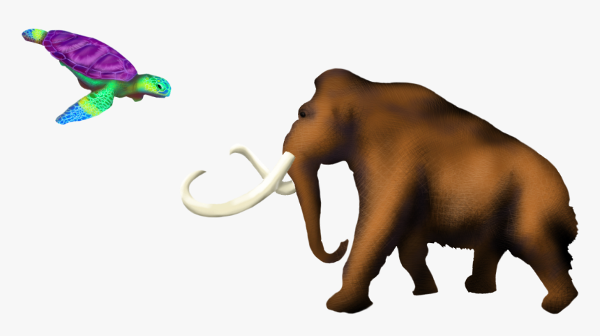 Indian Elephant, HD Png Download