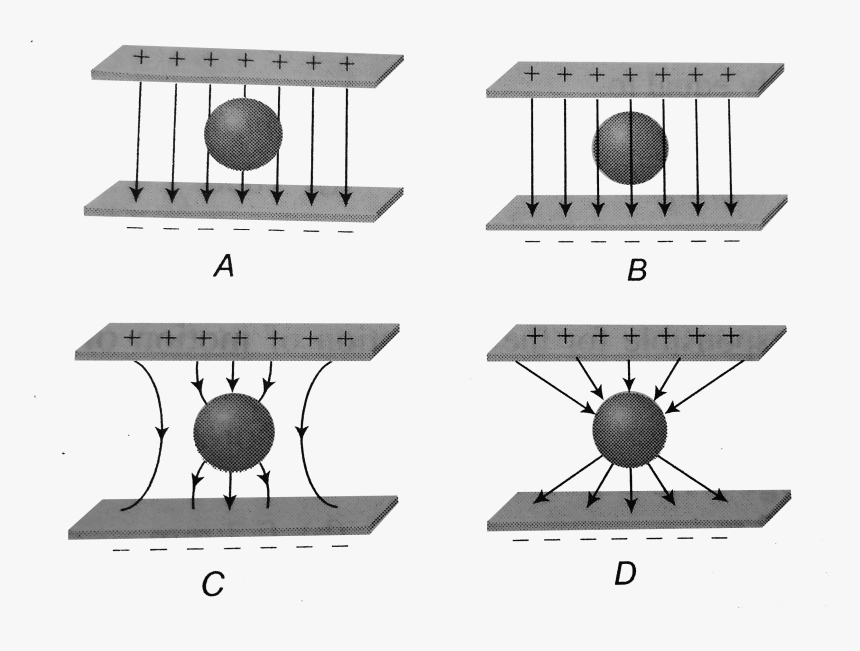 Uncharged Metal Sphere Is Placed Between Two Equal, HD Png Download