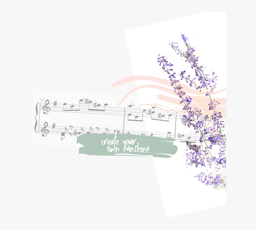 English Lavender, HD Png Download