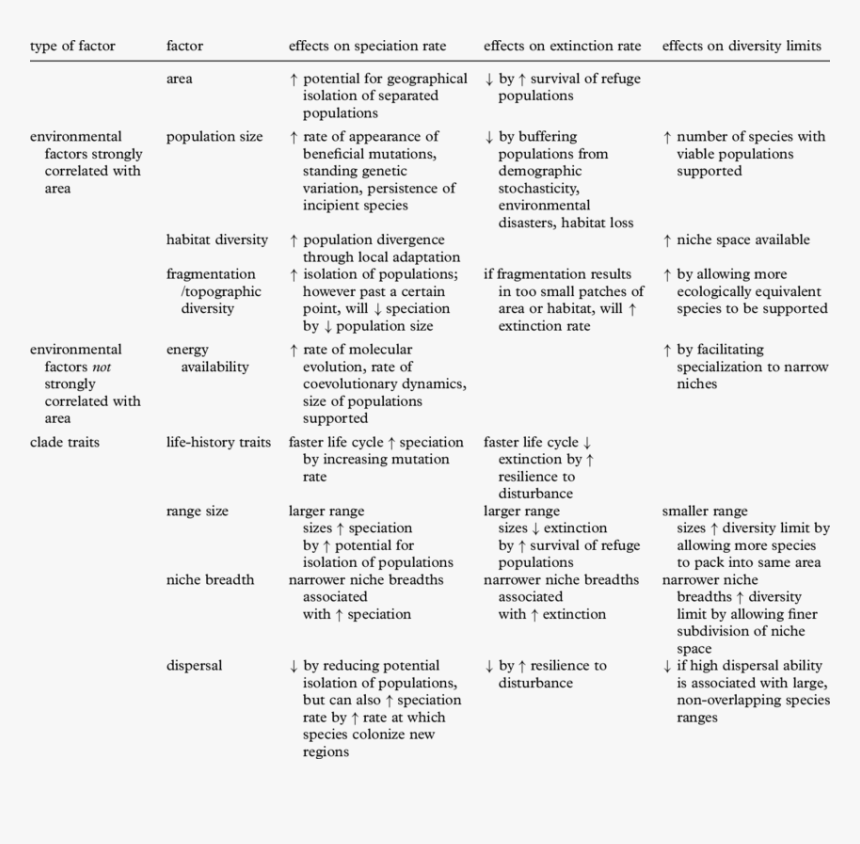 Screenshot, HD Png Download