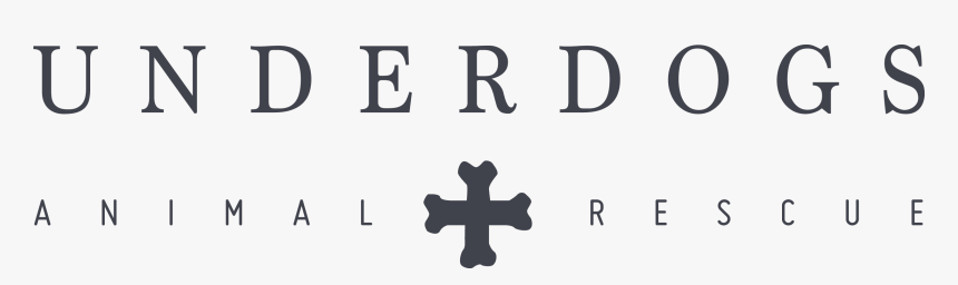 Cross, HD Png Download