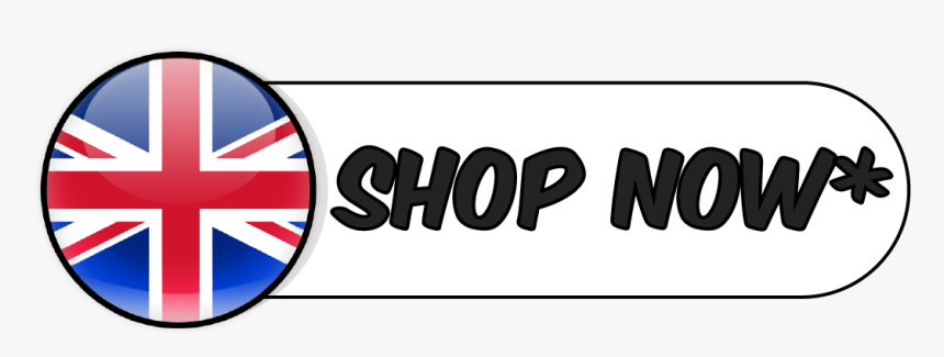 Nintendo, 2019 07 - Flag, HD Png Download