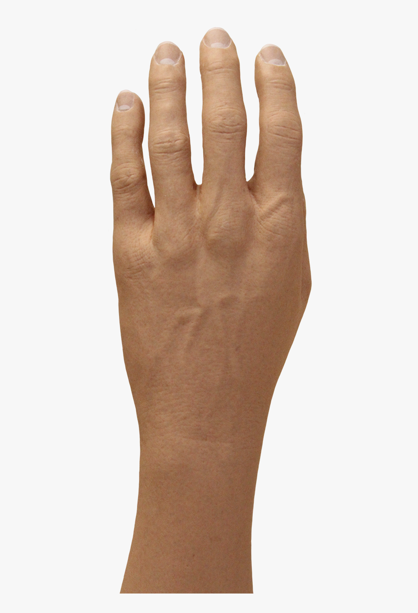 Gesture, HD Png Download