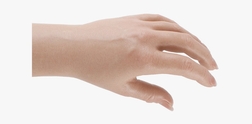 Latex, HD Png Download