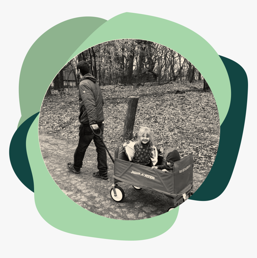 Tree, HD Png Download