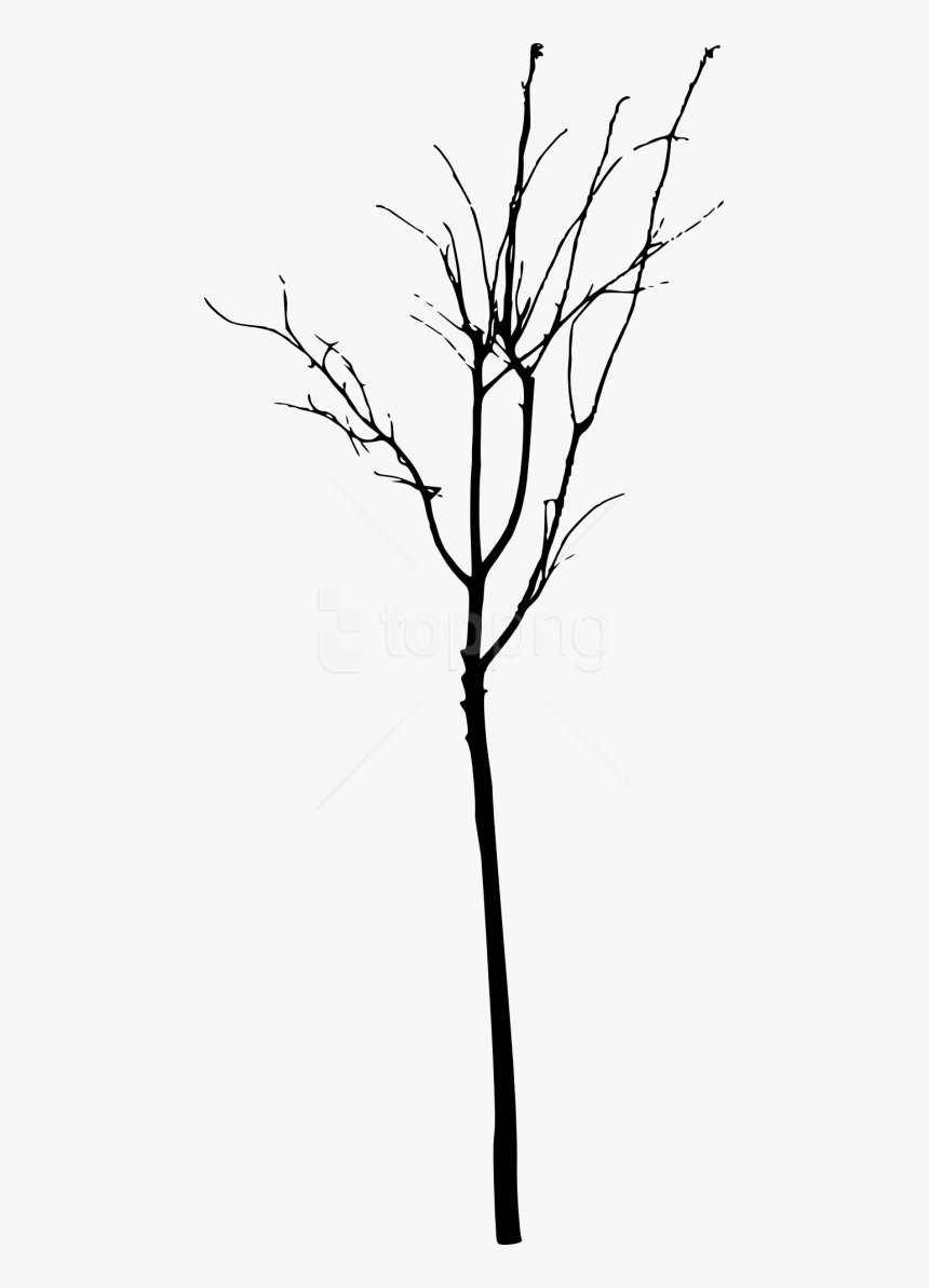 Free Simple Bare Tree Silhouette Free Images Transparent - Simple Bare Tree Silhouette Png, Png Download