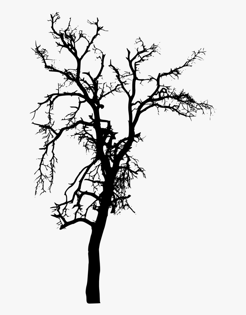 Silhouette Tree Images Png, Transparent Png