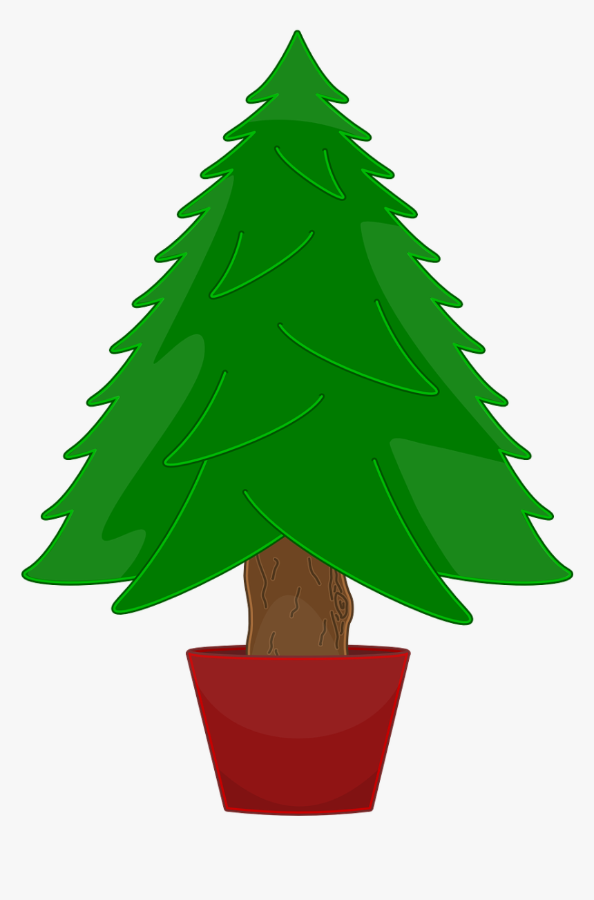 Bare Christmas Tree Clip Art - Christmas Tree Not Decorated, HD Png Download