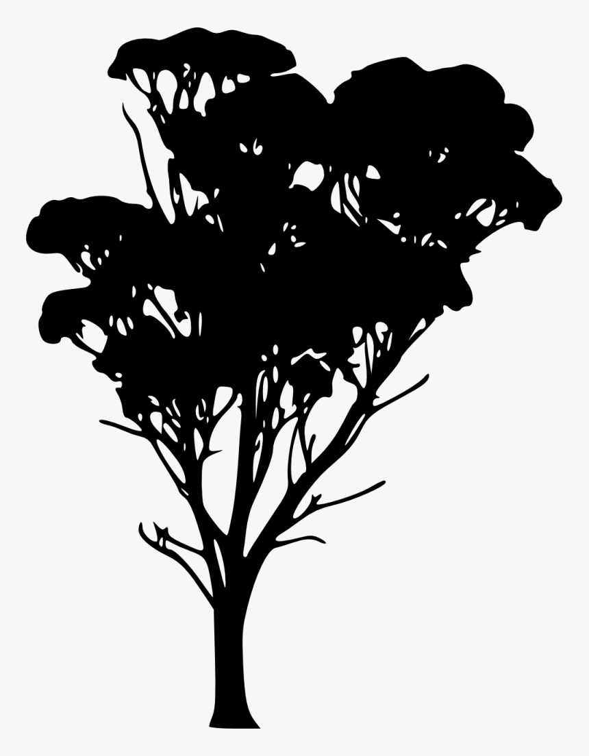 Bare Tree Silhouette Clip Art - Silhouette, HD Png Download