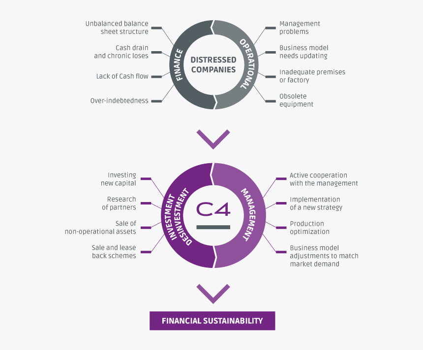 Circle, HD Png Download