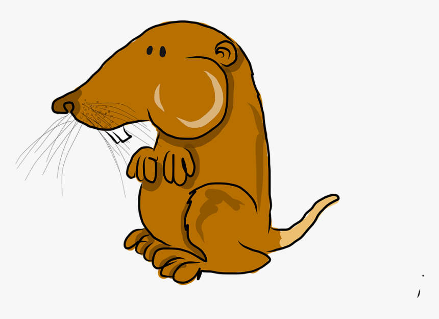 Pocket Gopher, Mammal, Cartoon Transparent Cartoon Gopher, HD Png