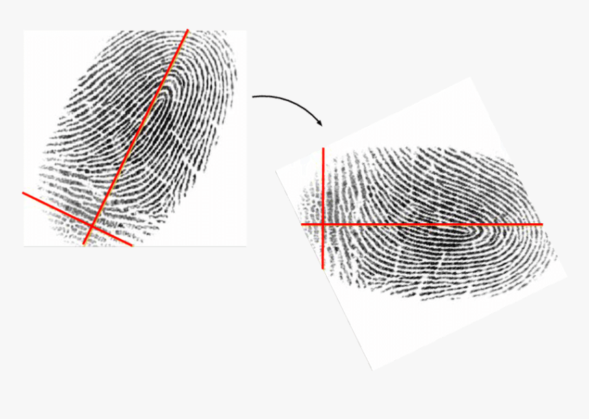 Diagram, HD Png Download