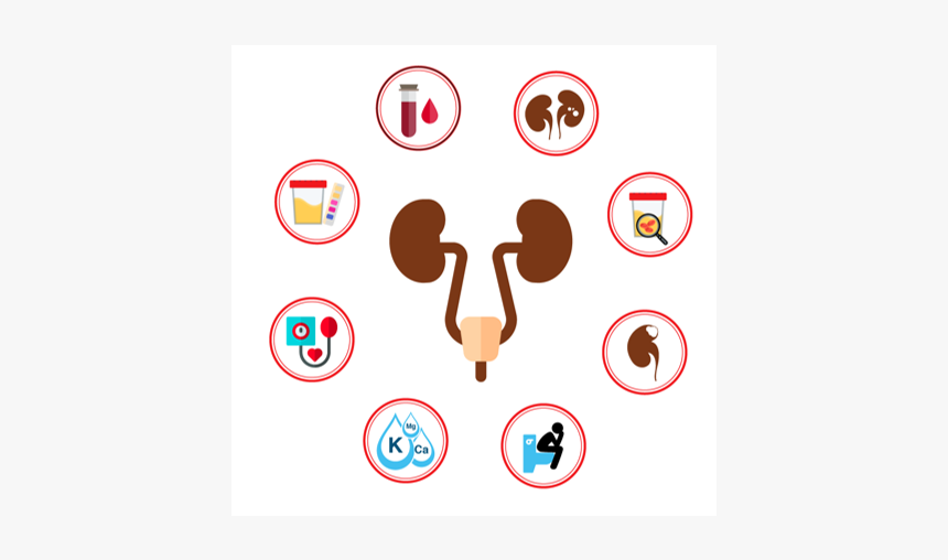 Tracy Newberry - Bob Rohrman, HD Png Download