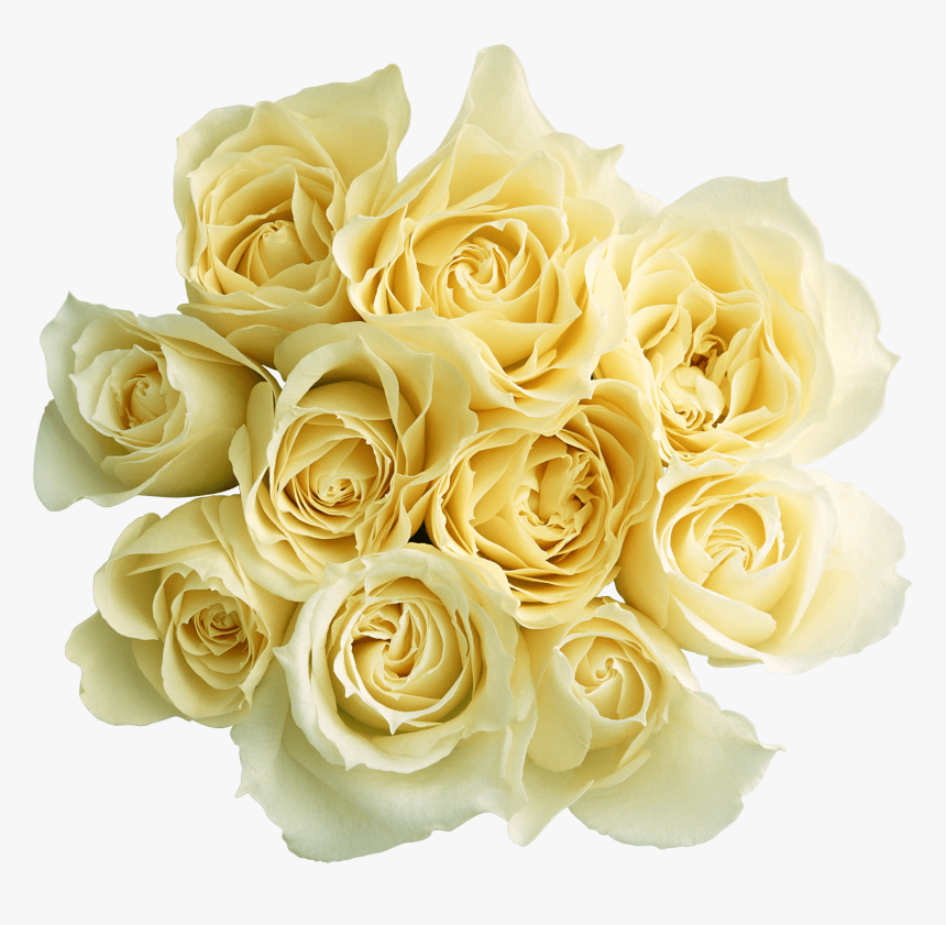 Rosas Blancas - Obrazki Miłego Wieczoru, HD Png Download