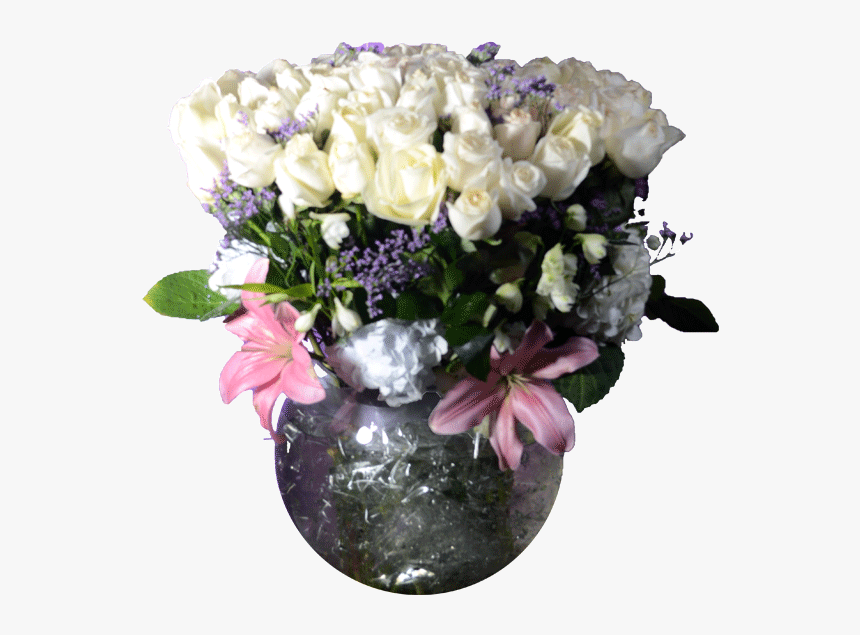 Transparent Rosas Blancas Png - Garden Roses, Png Download