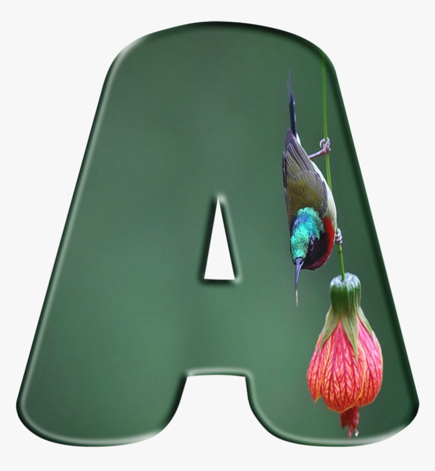Lampshade, HD Png Download