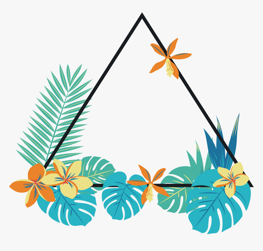 Musa Basjoo Euclidean Vector - Triangle Euclidean Vector Png, Transparent Png