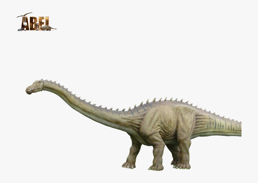 Esculpido Al Aire Libre Patio De Diplodocus, Dinosaurio - Ankylosaurus, HD Png Download