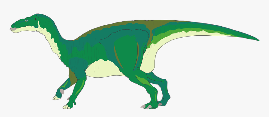 Cola De Dinosaurio - Fun Facts About Iguanodon, HD Png Download