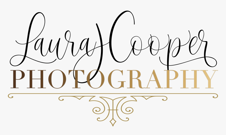 Portrait Photographer In Donostia-san Sebastian, Spain - Calligraphy, HD Png Download