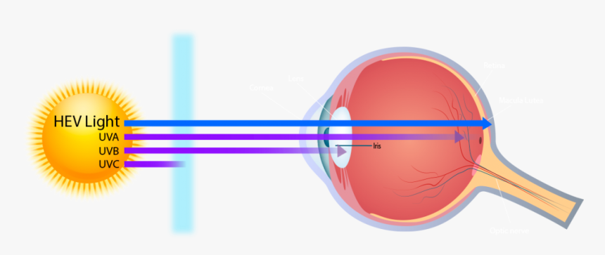 Circle, HD Png Download