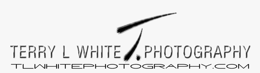 White Photography - Graphic Design, HD Png Download