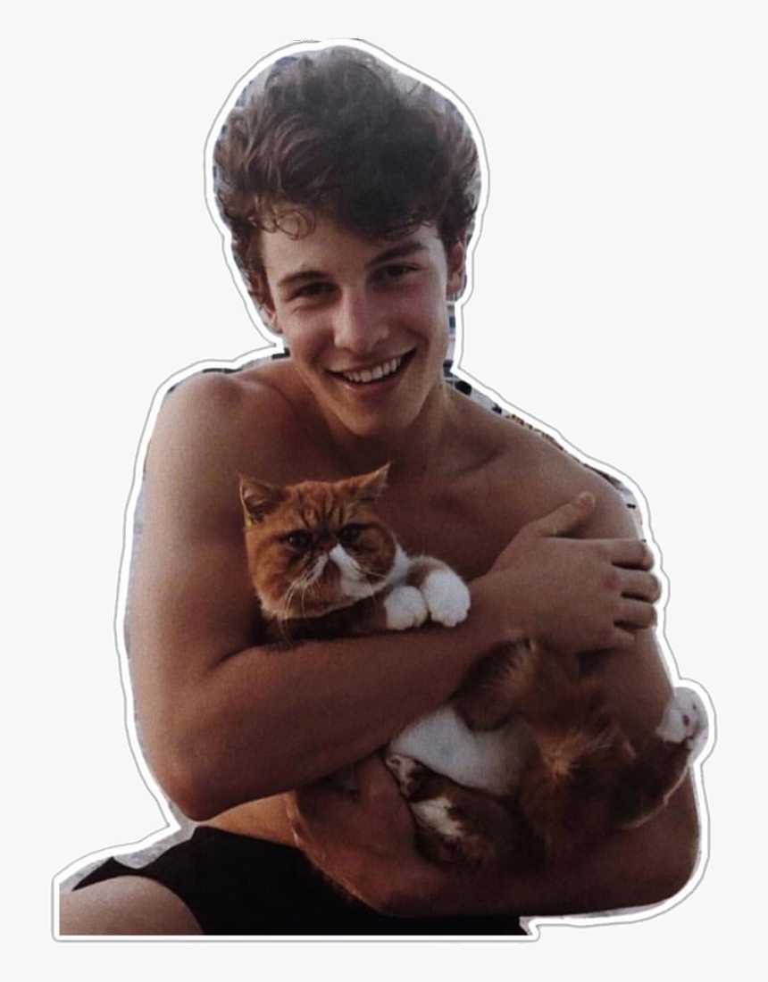 #overlays #complex #singers #people #overlay #png #pngs - Shawn Mendes Holding A Cat, Transparent Png