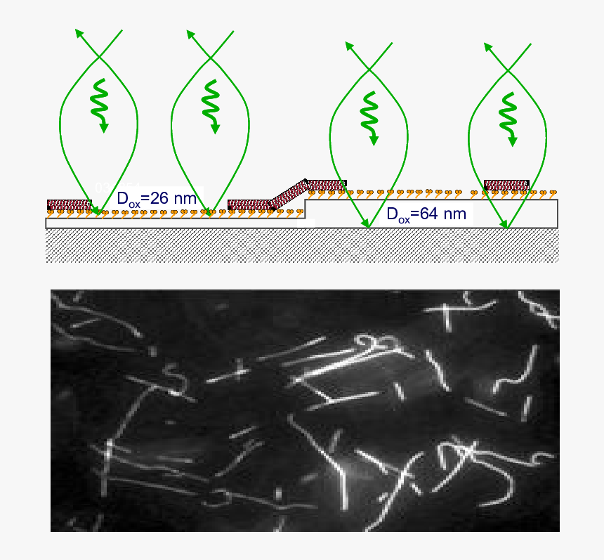 Diagram, HD Png Download