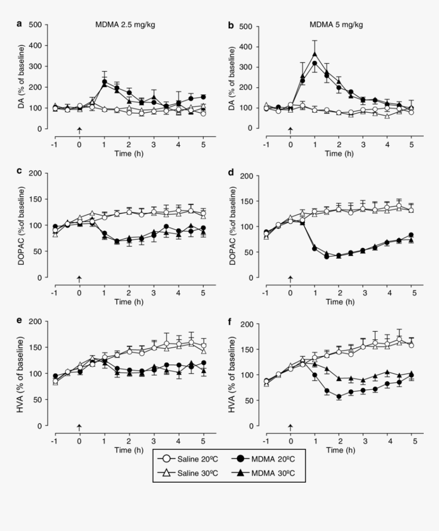 Diagram, HD Png Download