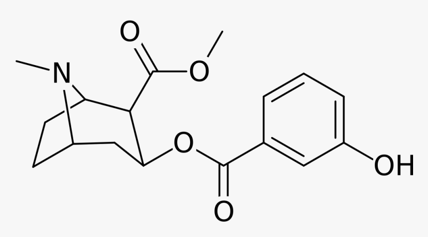 Transparent Cocaine Clipart - Methyl 1r 2r 3s 5s )- 3 -( Benzoyloxy )- 8 Methyl 8, HD Png Download