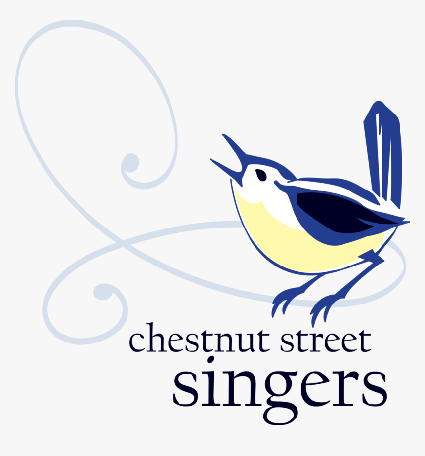 Csslogo1 Color Transparent - Benefit Strategies, HD Png Download