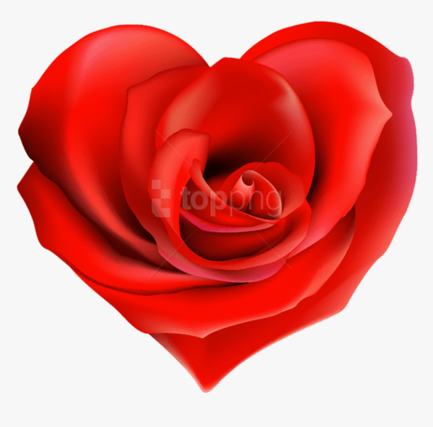 Heart Decorations, Heart Images, Heart Pictures, Hearts - Transparent Hearts And Roses, HD Png Download