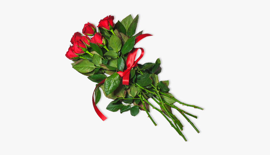 Lobelia, HD Png Download