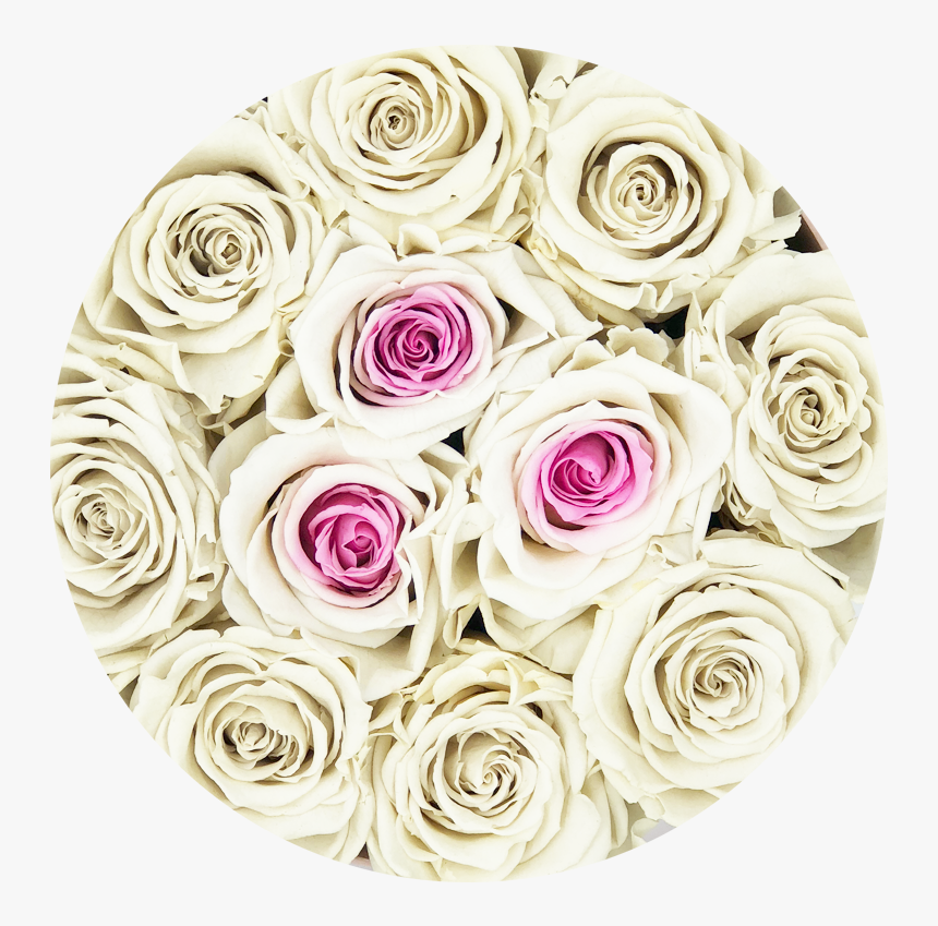 Rosas Blancas Png , Png Download, Transparent Png