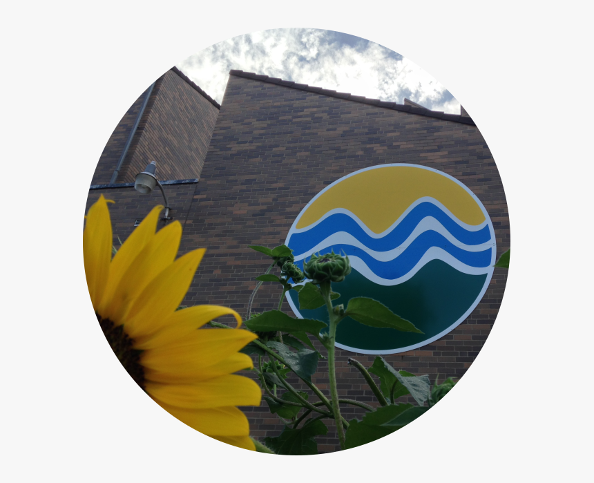 Banner Smaller Circle - Sunflower, HD Png Download