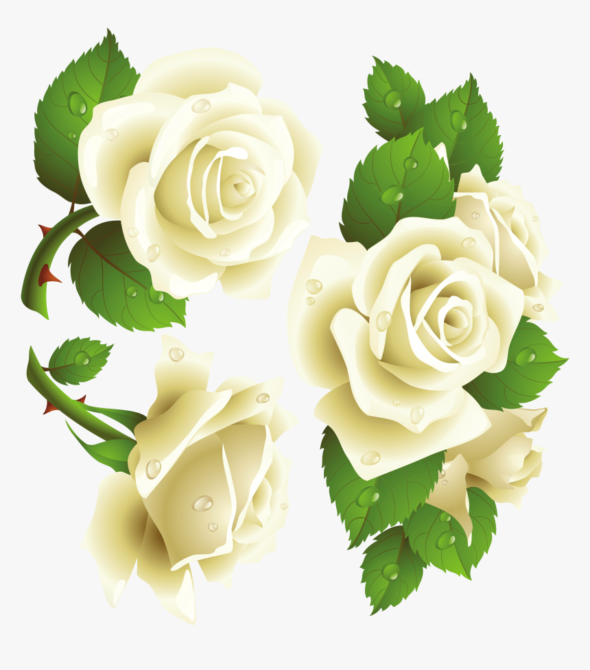 Rosas Blancas, HD Png Download
