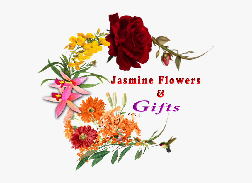 Colorado Springs, Co Florist - Hybrid Tea Rose, HD Png Download