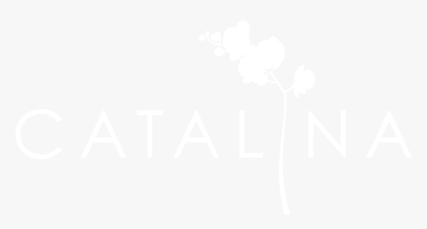 Diseño Floral, Decoración Y Organización De Eventos - Oxford University Logo White, HD Png Download