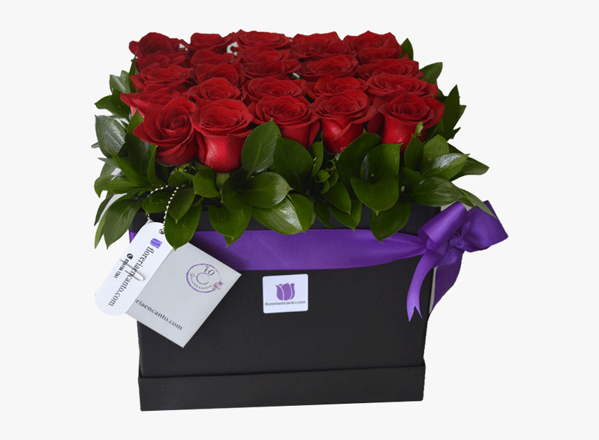 Transparent Rosas Png - Garden Roses, Png Download