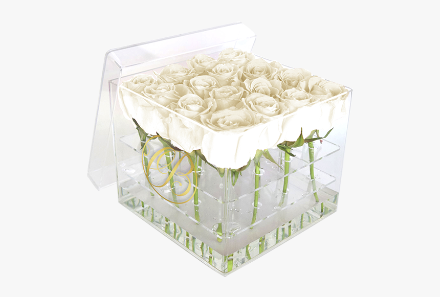 Caja De Acrílico Rosas Blancas - Caja Acrilica Con Rosas, HD Png Download