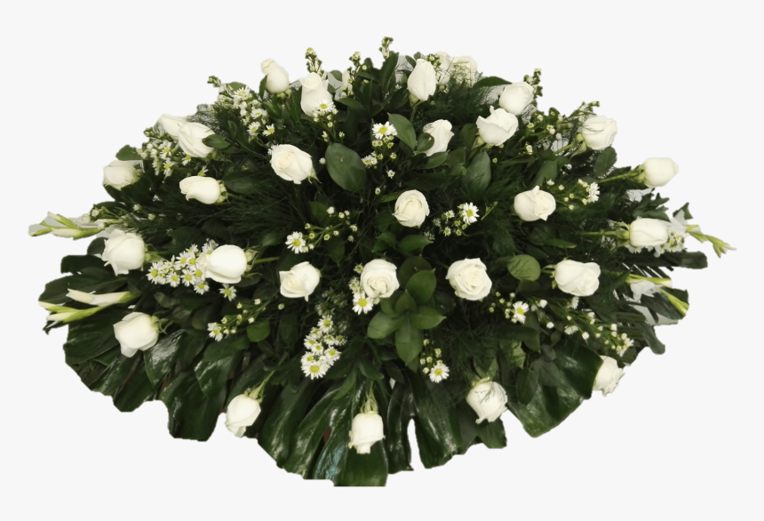 Funeraria Reyna Caborca Sonora, HD Png Download