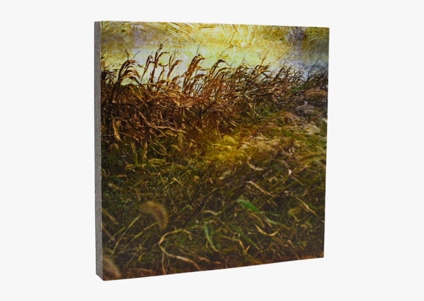 Grass, HD Png Download